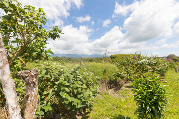 Fototapeta na wymiar Panama, Chiriqui province, Paradise valley panoramic view