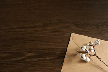 ナンキンハゼの種と封筒 9