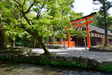Fototapeta premium 上賀茂神社 ならの小川と庁屋 京都市