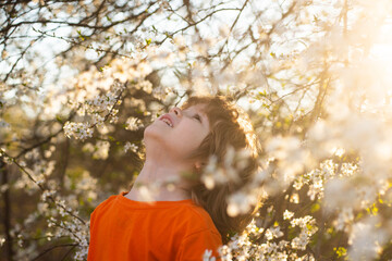 Spring boy in blooming tree in spring park. Smiling kid outdoor. Blossom garden.