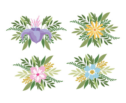 set of flowers on a white background