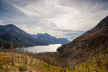 Burnt mountain forest overlooking Waterton Lake