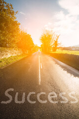 road to success. Road through fields on which the word success is written in the asphalt. vertical...