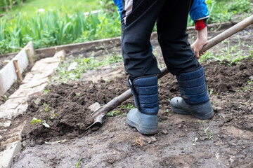 Legs in boots Dig grounf with shovel. earth day. Preparing Rich natural soil for planting seedlings of vegetables. Destruction of weeds