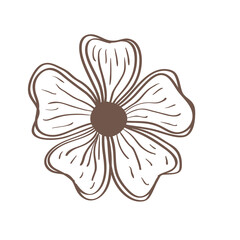 spring flower hand drawn style icon vector illustration design