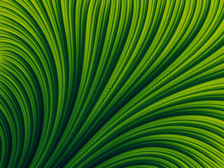 Obraz premium Green abstract digital pattern like a close up of a leaf