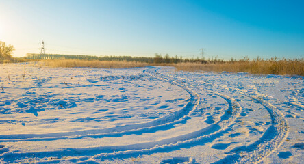 Fototapeta na wymiar Snowy white frozen field in wetland under a blue bright sky in sunlight in winter, Almere, Flevoland, The Netherlands, February 11, 2020 