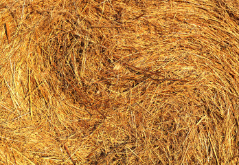Dry straw texture