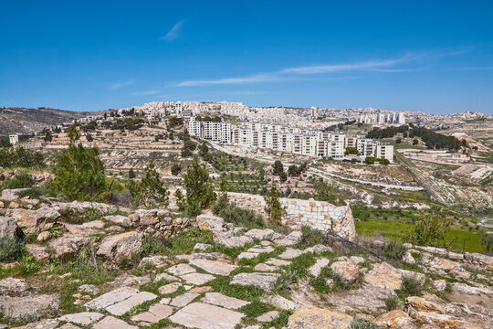 Palestinian Territory, Bethlehem. Shepherds' field.