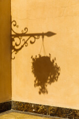 State of Qatar, Doha. Shadow of hanging plant and ironwork.