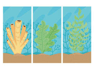 three underwater world with seaweed seascapes scenes vector illustration design