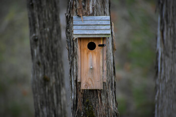 Wooden Bird House