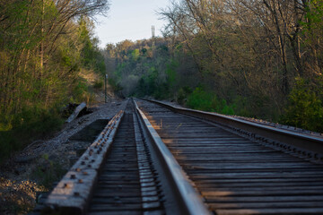 Fototapeta premium Railroad Tracks