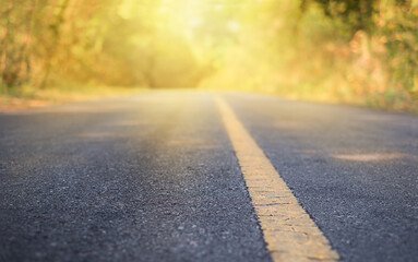 The road through the forest.