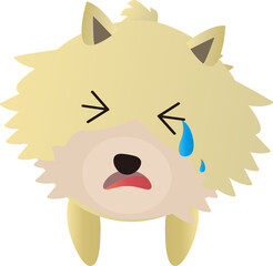泣く可愛いポメラニアン
