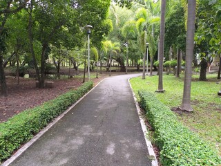green garden in country Thailand