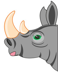 Fototapeta premium Portrait animal rhinoceros on white background is insulated