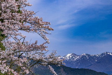 城と桜と雪山と