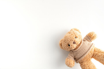teddy bear on a white background 