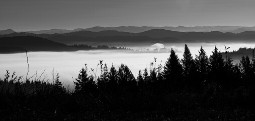 Black and white panorama of fog in Oregon valley surrounded by trees