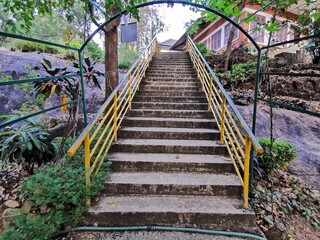 stairs in the forest