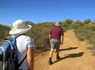 annoying flies cling to tourists backs and buzz to faces in Kalbarri National Park, Western Australia.