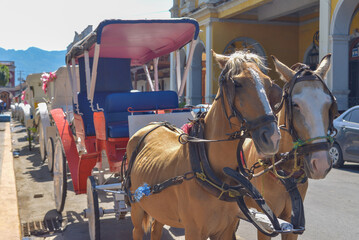 Carro y caballos, Nicaragua, 10 de enero 2019