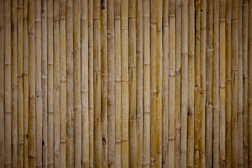 Yellow bamboo fence, traditional homemade fence background.