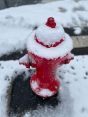 snow covered car