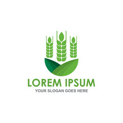 grain vector , agriculture logo vector