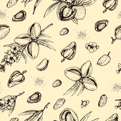 Seamless Pattern with Almond kernels of nuts and a branch of almonds with nuts, fruits, flowers.
