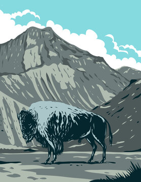 WPA poster art of an American bison with Eagle Peak mountain in Yellowstone National Park, Wyoming, United States of America done in works project administration or federal art project style.