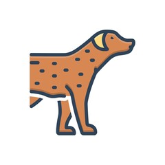 Color illustration icon for pet