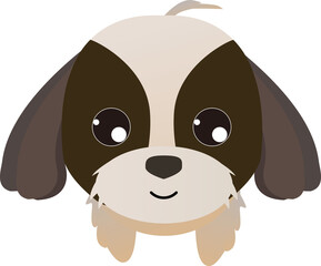 可愛いシーズー犬(正面)