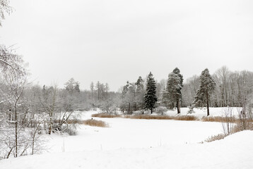 Winter landscape. View of the frozen lake in the park.