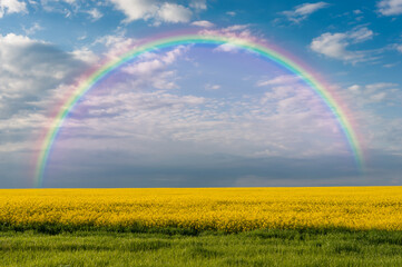 Landscape with rape fields and rainbow