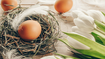 Basket easter decoration: natural colour eggs in basket with spring tulips, white feathers on wooden table background. Congratulatory easter design.