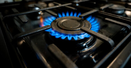 Close up blue fire from kitchen stove
