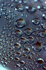 Water drops macro background modern high quality prints