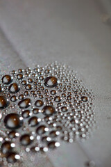Water drops macro background modern high quality prints