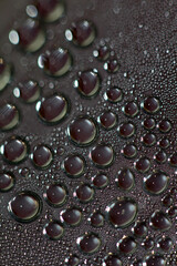Water drops macro background modern high quality prints
