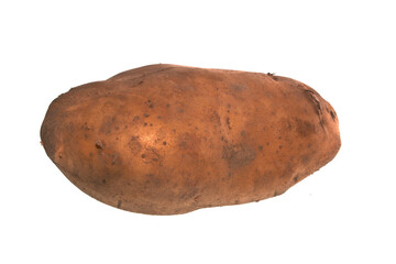 potato isolated on white background