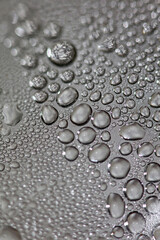 Water drops macro background modern high quality prints