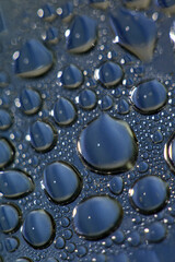 Water drops macro background modern high quality prints