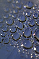 Water drops macro background modern high quality prints