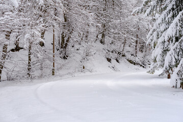 Winter landscape in Szalajka valley Hungary. Amazing landscape in Bukk national park near by Miskolc City. Next to Lillafured town. Beautiful sight the fresh snow in the nature