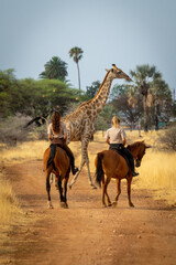 Southern giraffe passes two women on horseback