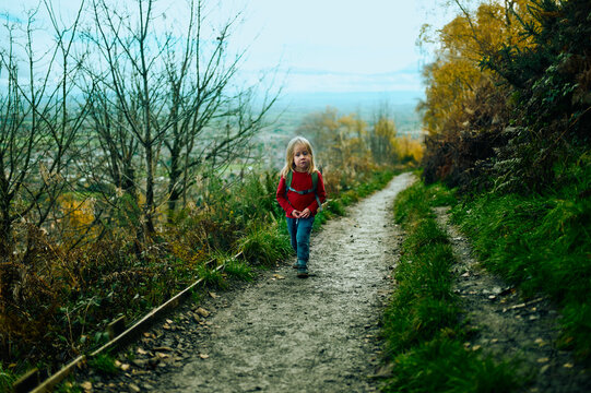 Preschooler walking on path in the woods on an autumn day
