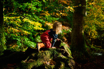 Preschooler in waterproof clothing playing in the woods on an autumn day