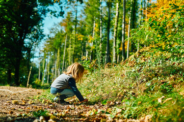 Preschooler playing in the woods on a sunny autumn day